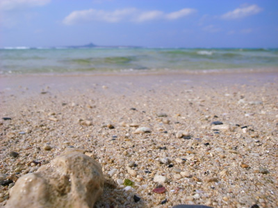 [IMAGE]失われた夏を求めて